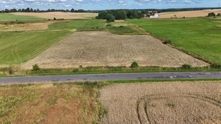 Działka budowlana wśród pól w Truskolasie, 9 km od Płotów, zdjęcie 14