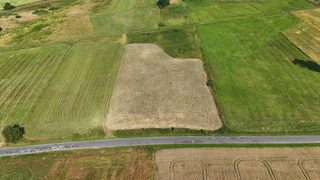 Działka budowlana wśród pól w Truskolasie, 9 km od Płotów, zdjęcie 3
