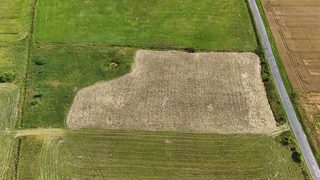 Działka budowlana wśród pól w Truskolasie, 9 km od Płotów, zdjęcie 6