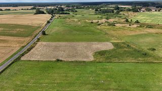 Działka budowlana wśród pól w Truskolasie, 9 km od Płotów, zdjęcie 9