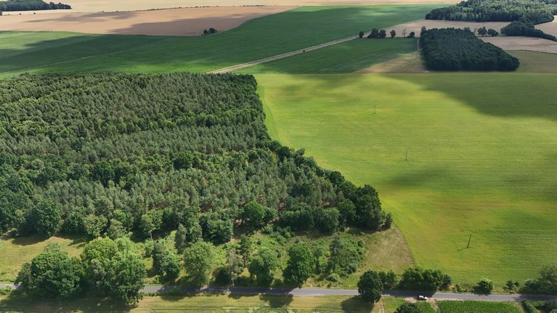 Działka na sprzedaż 750 m²: Działki budowlane na sprzedaż w Gostominie