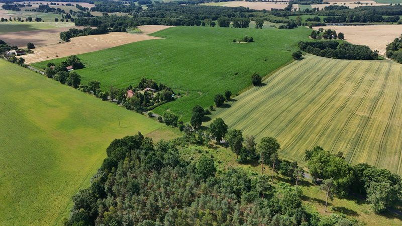 Działka na sprzedaż 750 m²: Działki budowlane na sprzedaż w Gostominie