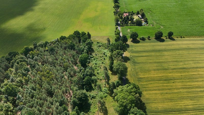 Działka na sprzedaż 750 m²: Działki budowlane na sprzedaż w Gostominie
