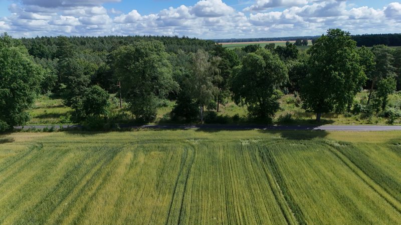 Działka na sprzedaż 750 m²: Działki budowlane na sprzedaż w Gostominie