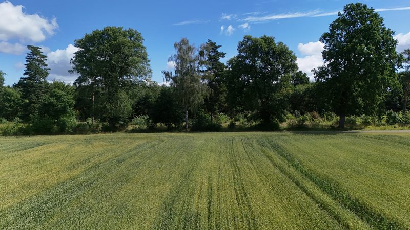 Działka na sprzedaż 750 m²: Działki budowlane na sprzedaż w Gostominie