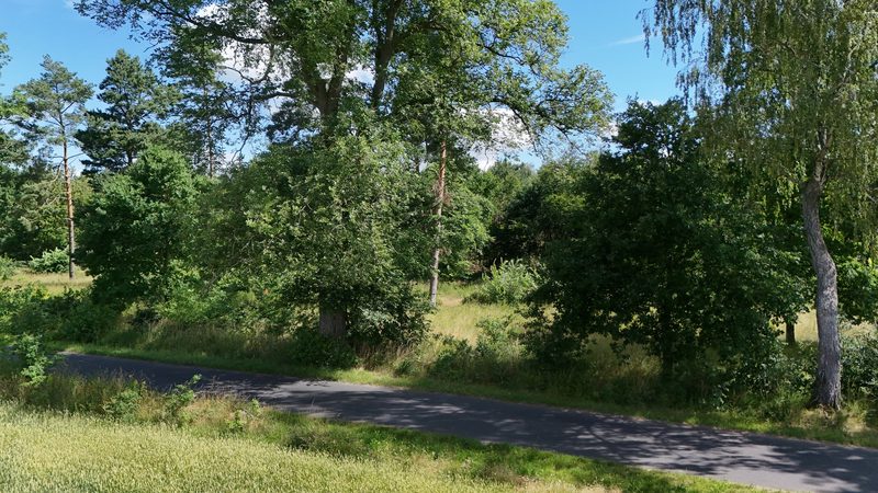 Działka na sprzedaż 750 m²: Działki budowlane na sprzedaż w Gostominie