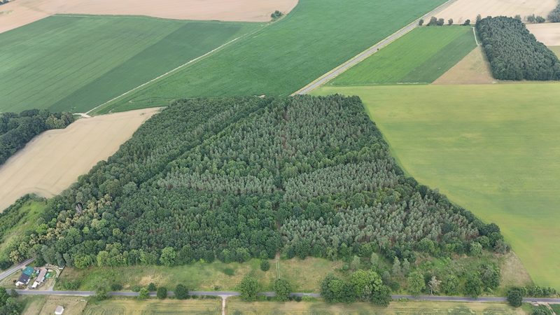 Działka na sprzedaż 750 m²: Działki budowlane na sprzedaż w Gostominie