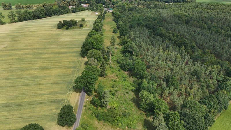 Działka na sprzedaż 750 m²: Działki budowlane na sprzedaż w Gostominie