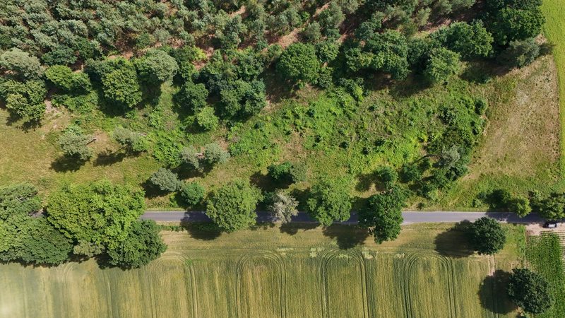Działka na sprzedaż 750 m²: Działki budowlane na sprzedaż w Gostominie