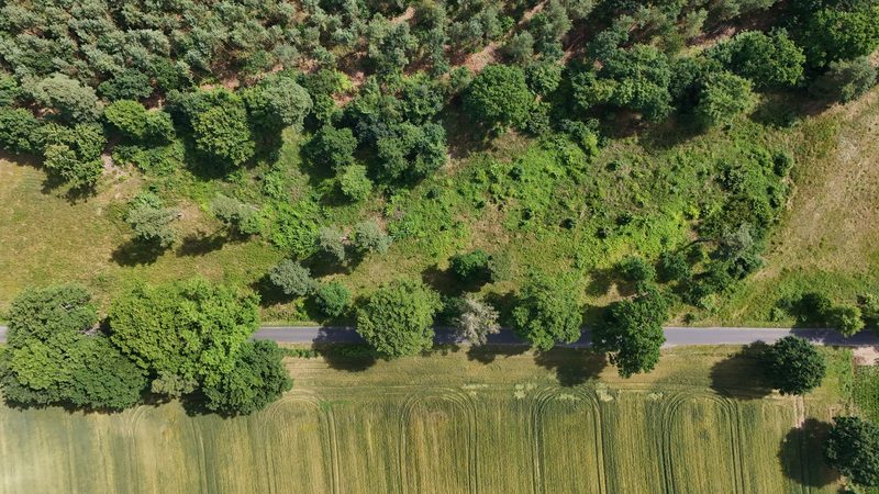 Działka na sprzedaż 750 m²: Działki budowlane na sprzedaż w Gostominie