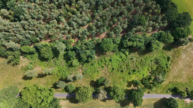 Działka na sprzedaż 750 m²: Działki budowlane na sprzedaż w Gostominie