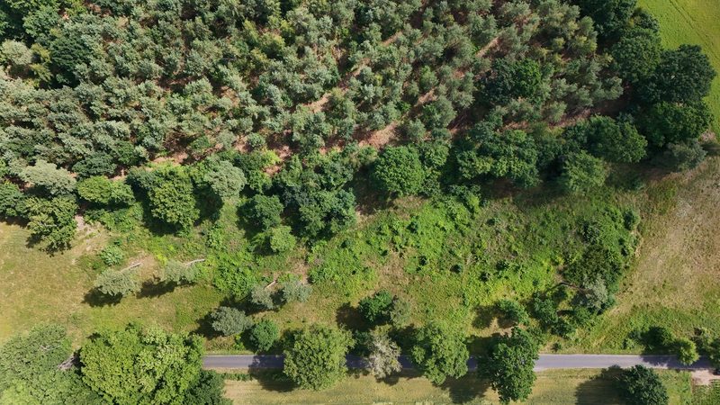 Działka na sprzedaż 750 m²: Działki budowlane na sprzedaż w Gostominie
