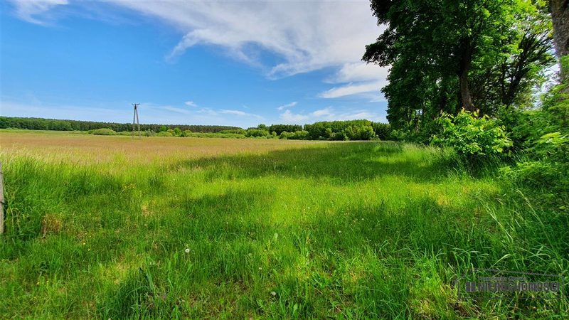 Działka na sprzedaż 1 500 m²: Działki budowlane na sprzedaż w Nieżynie