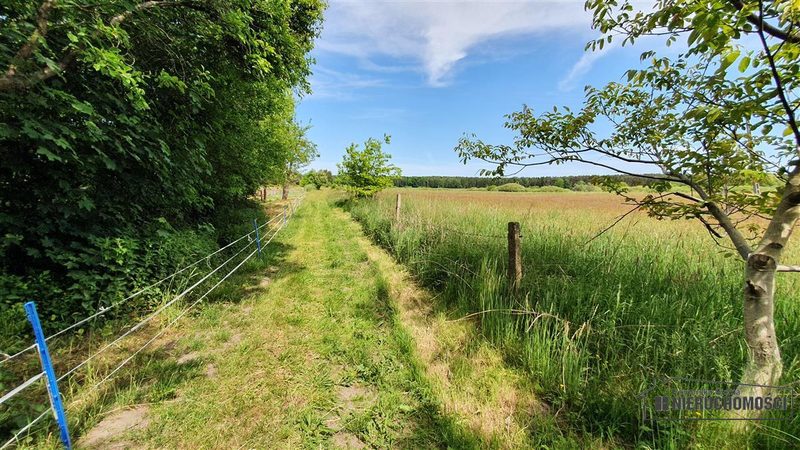 Działka na sprzedaż 1 500 m²: Działki budowlane na sprzedaż w Nieżynie