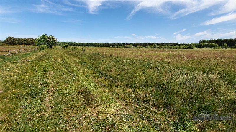 Działka na sprzedaż 1 500 m²: Działki budowlane na sprzedaż w Nieżynie