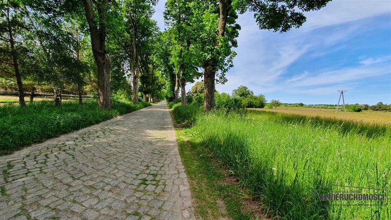 Działka na sprzedaż 1 500 m²: Działki budowlane na sprzedaż w Nieżynie