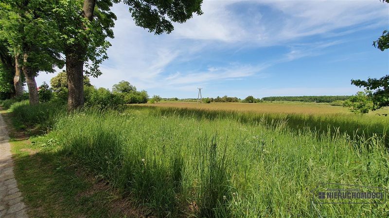 Działka na sprzedaż 1 500 m²: Działki budowlane na sprzedaż w Nieżynie