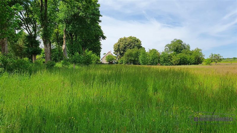 Działka na sprzedaż 1 500 m²: Działki budowlane na sprzedaż w Nieżynie