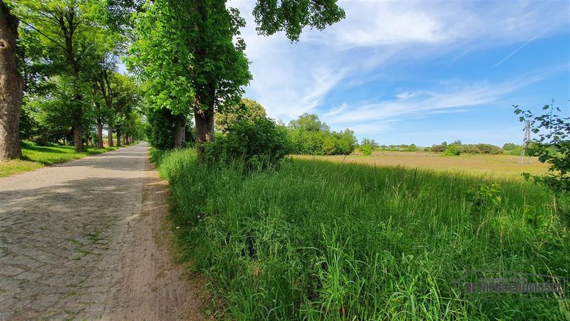 Działka na sprzedaż 1 500 m²: Działki budowlane na sprzedaż w Nieżynie