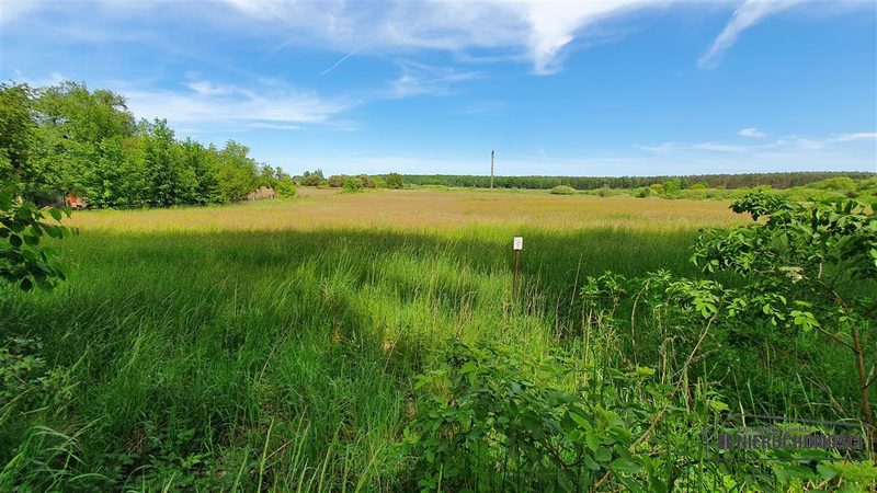 Działka na sprzedaż 1 500 m²: Działki budowlane na sprzedaż w Nieżynie