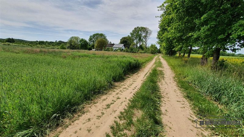 Działka na sprzedaż 1 228 m²: Działki budowlane na sprzedaż w Siemyślu
