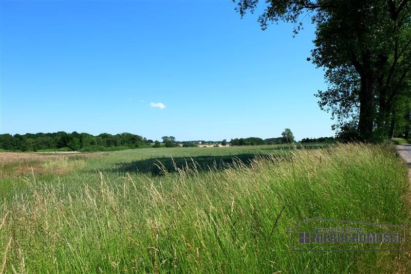 Działka na sprzedaż 1 608 m²: Działki budowlane na sprzedaż w Świeciu Kołobrzeskim