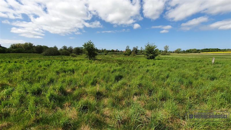 Działka na sprzedaż 2 400 m²: Działki budowlane na sprzedaż w Gosławiu
