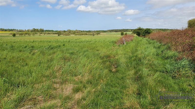 Działka na sprzedaż 2 400 m²: Działki budowlane na sprzedaż w Gosławiu