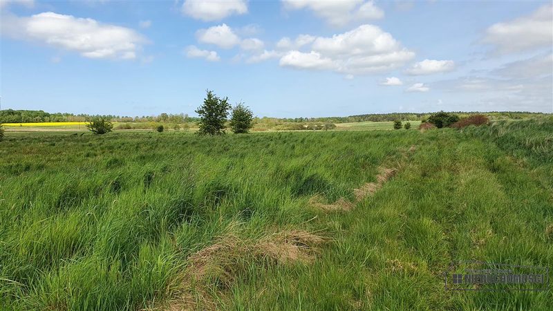 Działka na sprzedaż 2 400 m²: Działki budowlane na sprzedaż w Gosławiu
