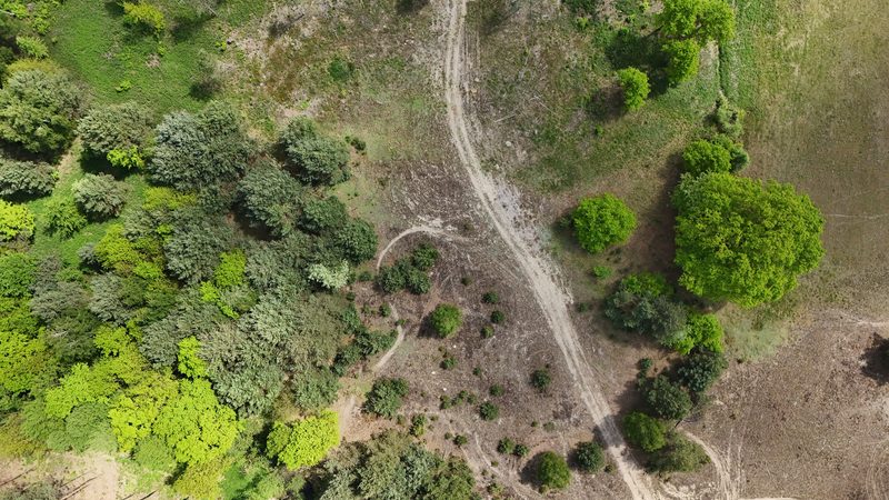 Działka na sprzedaż 14 497 m²: Działka na sprzedaż w Kuźniczysku