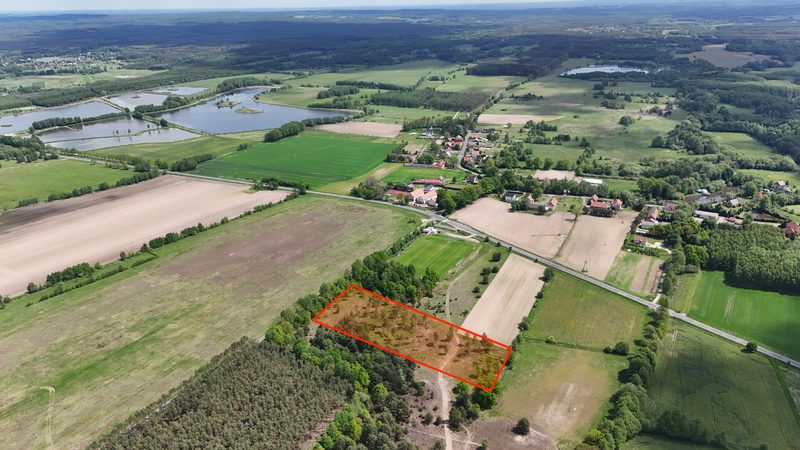 Działka na sprzedaż 14 497 m²: Działka na sprzedaż w Kuźniczysku