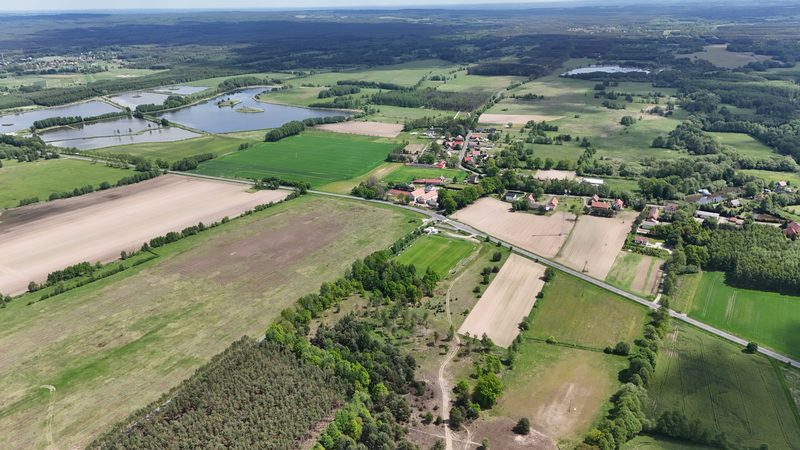 Działka na sprzedaż 14 497 m²: Działka na sprzedaż w Kuźniczysku