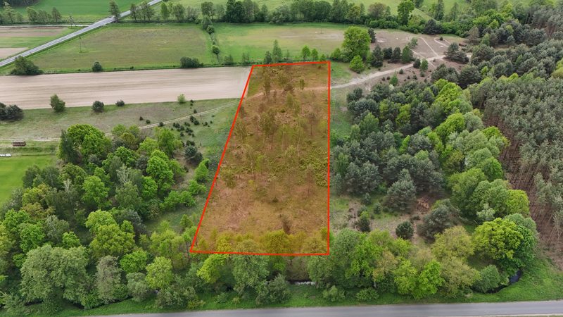 Działka na sprzedaż 14 497 m²: Działka na sprzedaż w Kuźniczysku