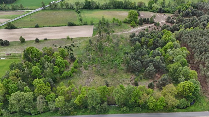 Działka na sprzedaż 14 497 m²: Działka na sprzedaż w Kuźniczysku