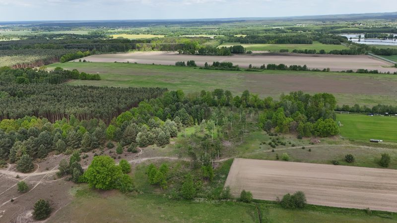 Działka na sprzedaż 14 497 m²: Działka na sprzedaż w Kuźniczysku