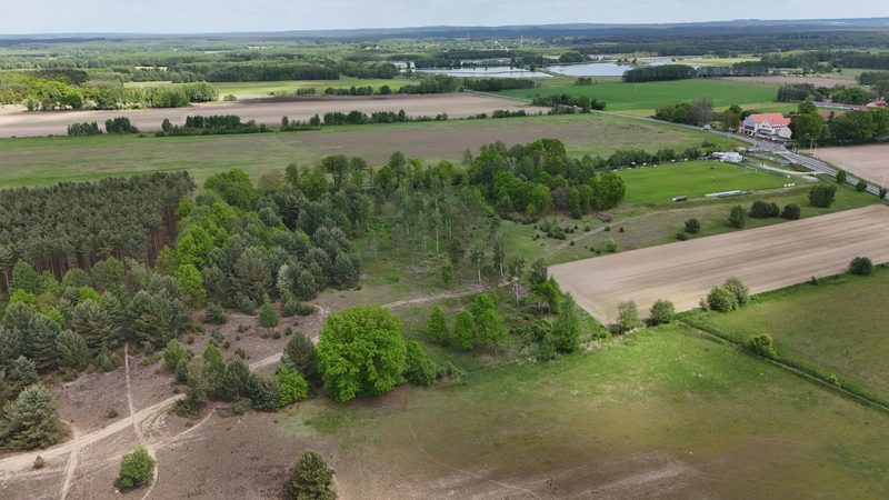 Działka na sprzedaż 14 497 m²: Działka na sprzedaż w Kuźniczysku