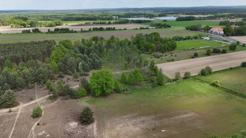 Działka na sprzedaż 14 497 m²: Działka na sprzedaż w Kuźniczysku