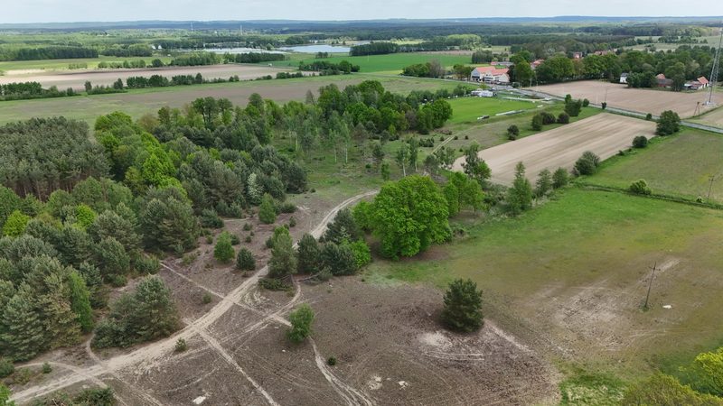 Działka na sprzedaż 14 497 m²: Działka na sprzedaż w Kuźniczysku
