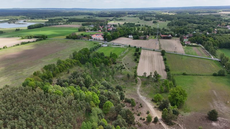 Działka na sprzedaż 14 497 m²: Działka na sprzedaż w Kuźniczysku