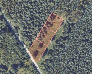 Building plots in a forest clearing in Obrębizna, 5 km from Turek, photo 11