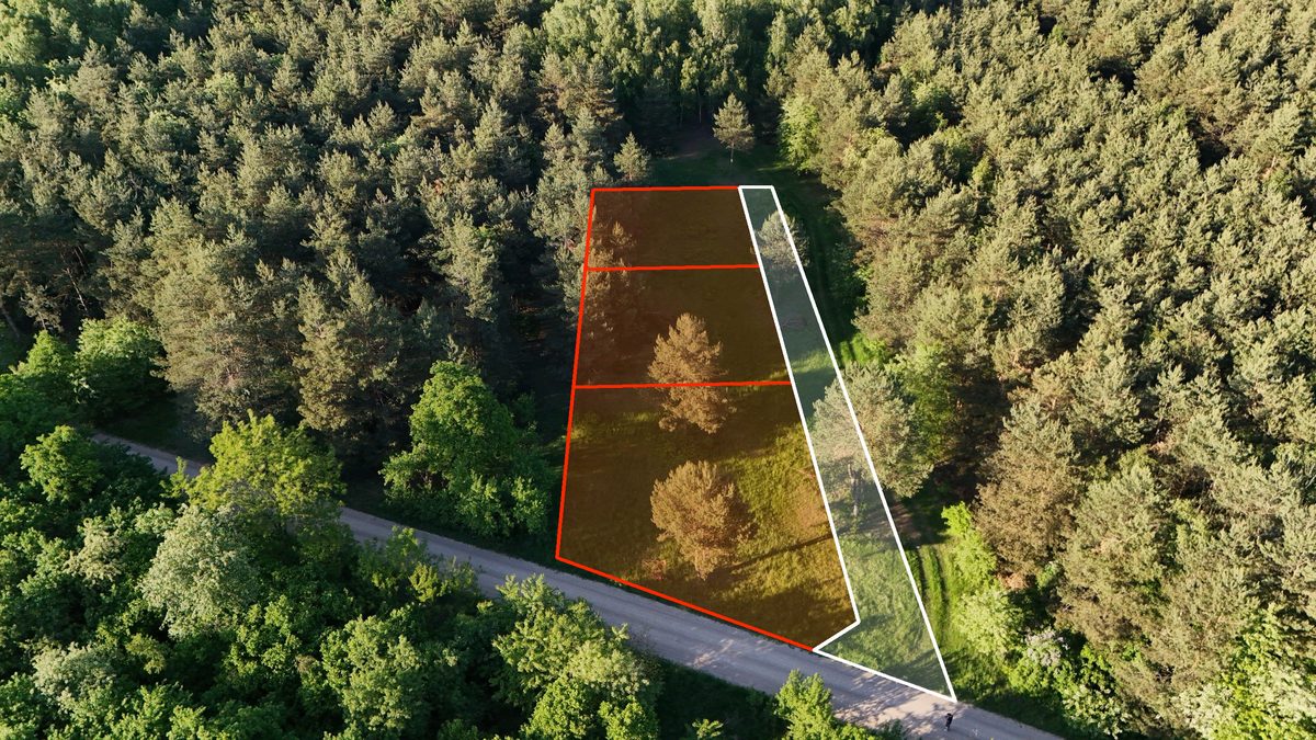 Building plots in a forest clearing in Obrębizna, 5 km from Turek