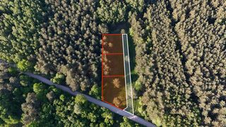 Building plots in a forest clearing in Obrębizna, 5 km from Turek, photo 2