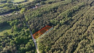 Building plots in a forest clearing in Obrębizna, 5 km from Turek, photo 4