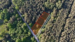 Building plots in a forest clearing in Obrębizna, 5 km from Turek, photo 5