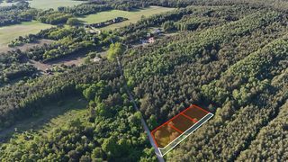 Building plots in a forest clearing in Obrębizna, 5 km from Turek, photo 6