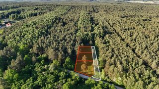 Building plots in a forest clearing in Obrębizna, 5 km from Turek, photo 7