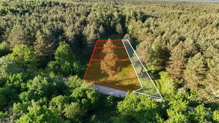 Building plots in a forest clearing in Obrębizna, 5 km from Turek, photo 8
