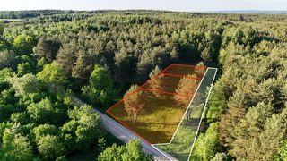 Building plots in a forest clearing in Obrębizna, 5 km from Turek, photo 9