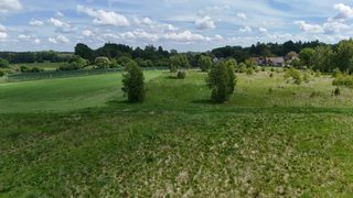 Działka budowlana wśród pól i lasów w Czarnkowie, 5 km od Tychowa, zdjęcie 7