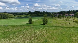 Działka budowlana wśród pól i lasów w Czarnkowie, 5 km od Tychowa, zdjęcie 12